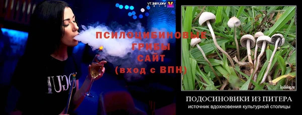 ECSTASY Алексин