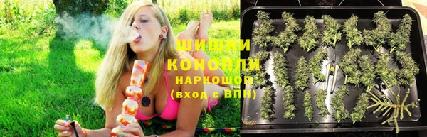 трава Алзамай