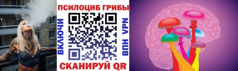 Галлюциногенные грибы MAGIC MUSHROOMS OMG зеркало Кольчугино