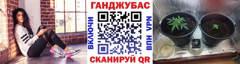 хочу наркоту  Кольчугино  Каннабис конопля 